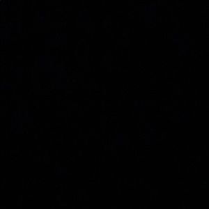 Meet your Posher, Gabi warshaw